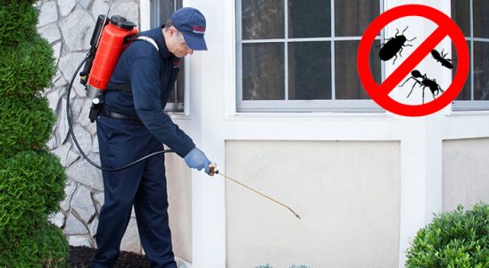 Köprübaşı Kemirgen İlaçlama böcek ilaçlama ve haşere kontrolü — ilaclama-tr.com